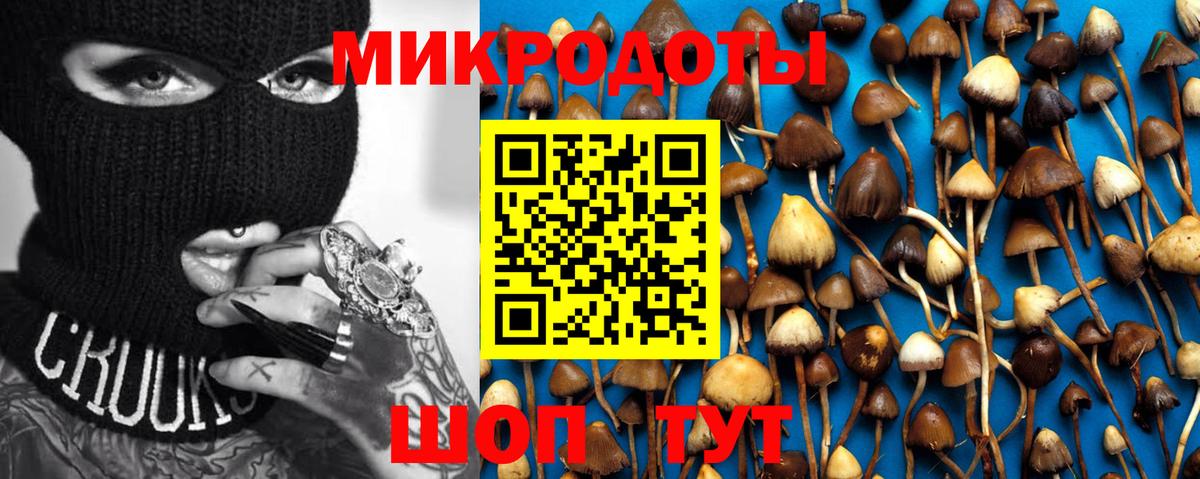 Псилоцибиновые грибы мухоморы Горно-Алтайск