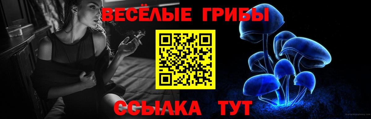 Псилоцибиновые грибы мицелий  Вход с VPN  Горно-Алтайск 